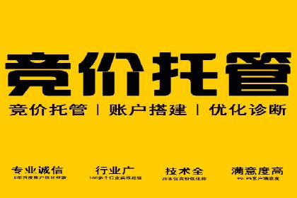 某公司sem代运营之旅：从失败到成功的转变